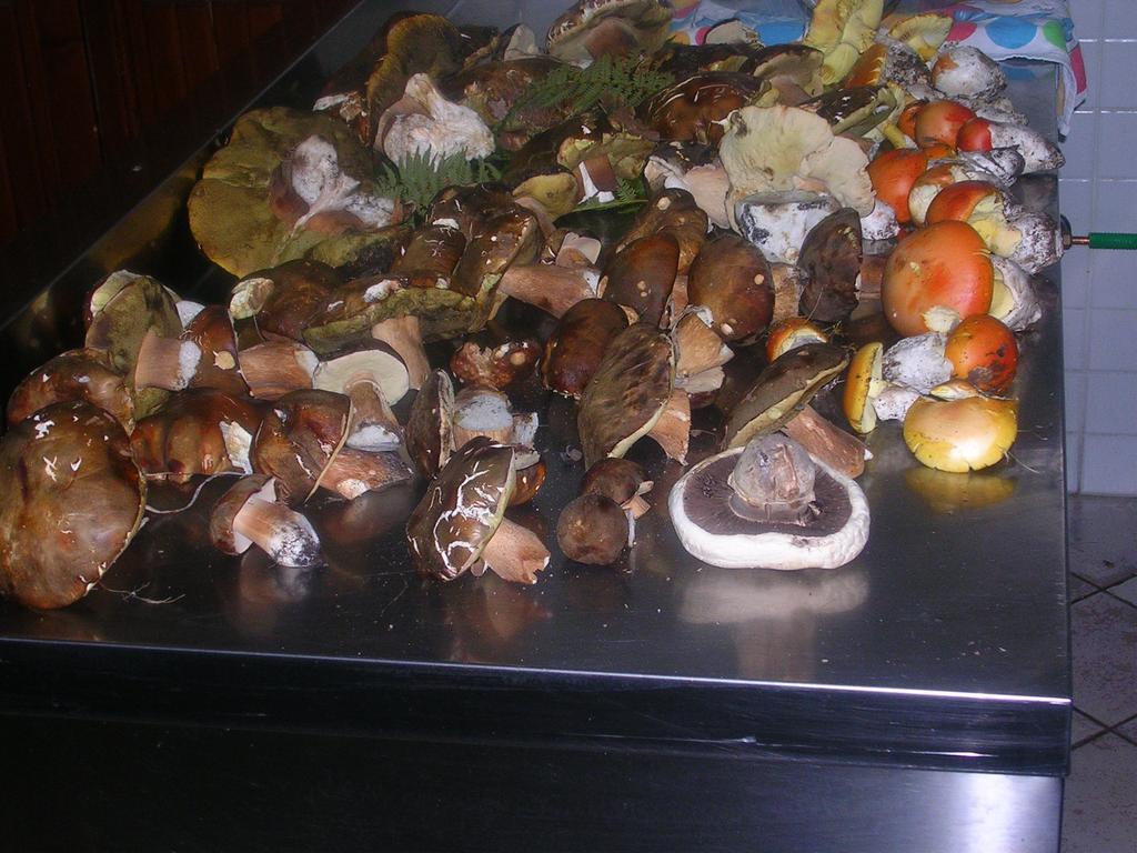 Sas Abbilas Bonorva Extérieur photo